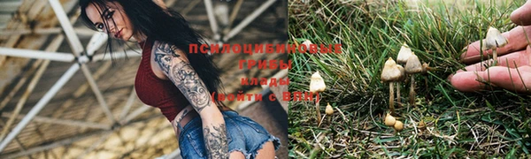 скорость Алексеевка