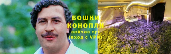 твердый Аркадак