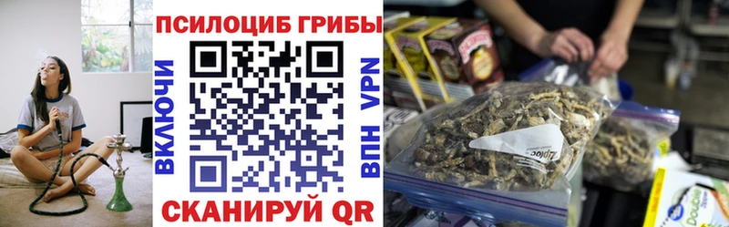 Псилоцибиновые грибы MAGIC MUSHROOMS  наркота  Ртищево 